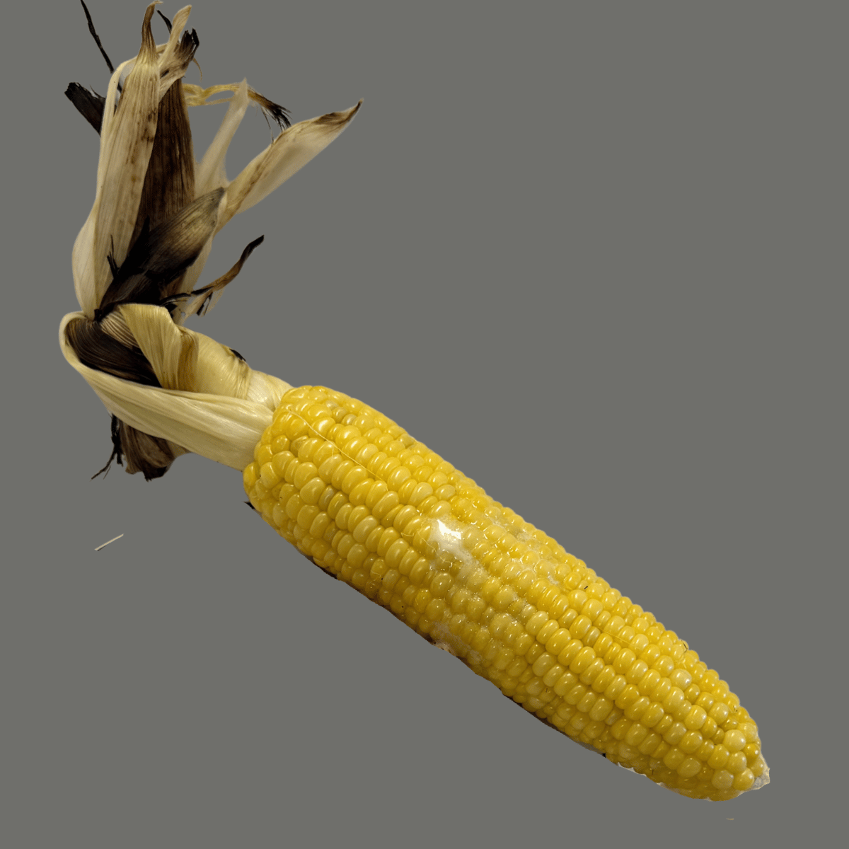 Roasted Corn